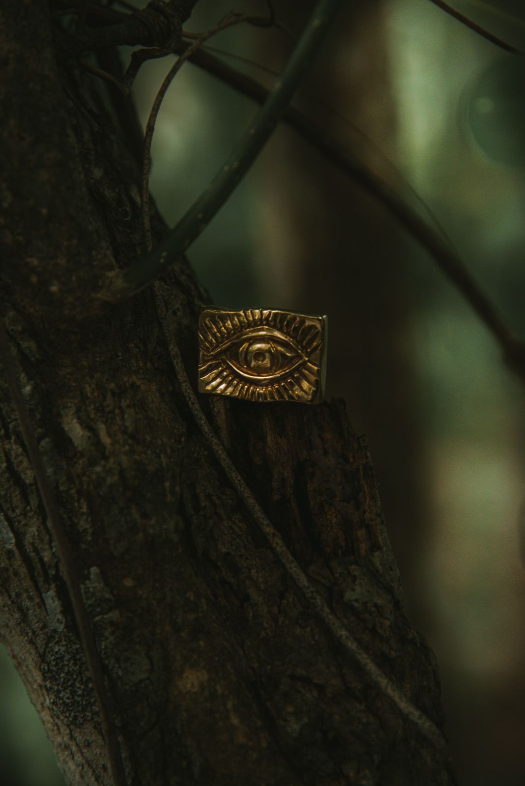 PROTECTION EYE RING